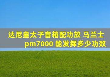 达尼皇太子音箱配功放 马兰士pm7000 能发挥多少功效